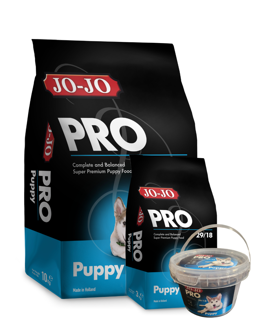 JOJO PRO PUPPY.