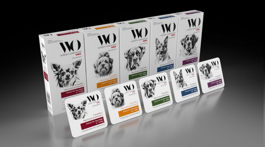 William Oakwood Fluralaner Chewable Tablets