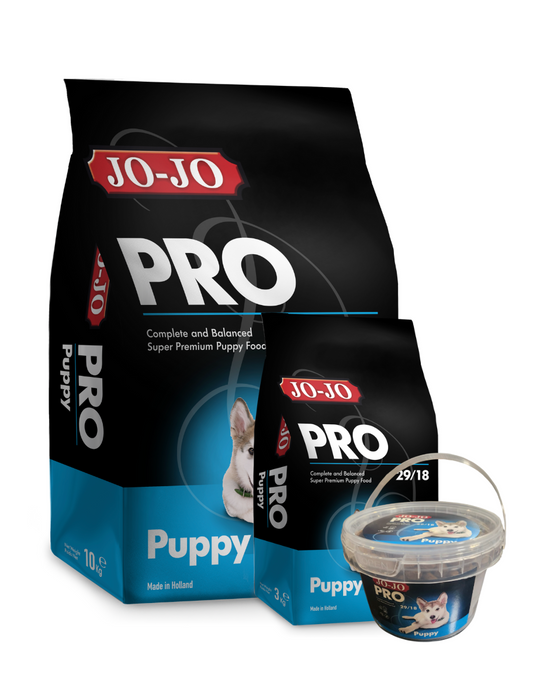 JOJO PRO PUPPY.