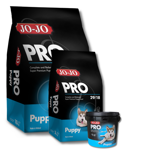 JOJO PRO PUPPY.
